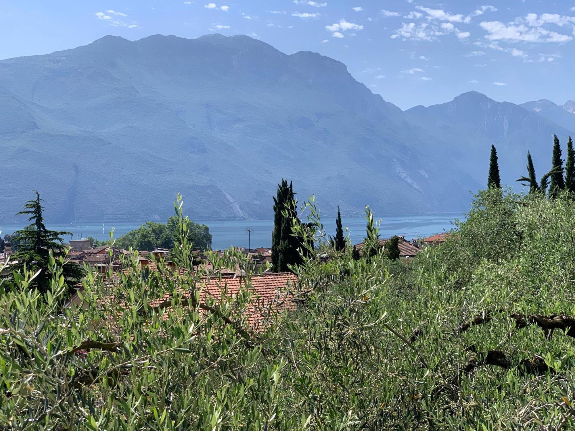Aparthotel Englovacanze Riva del Garda Esterno foto